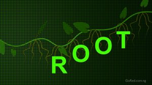 runners with root words